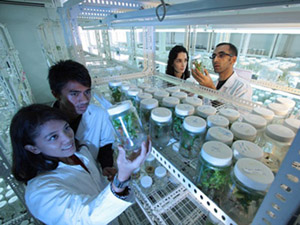 网页DDOS攻击平台